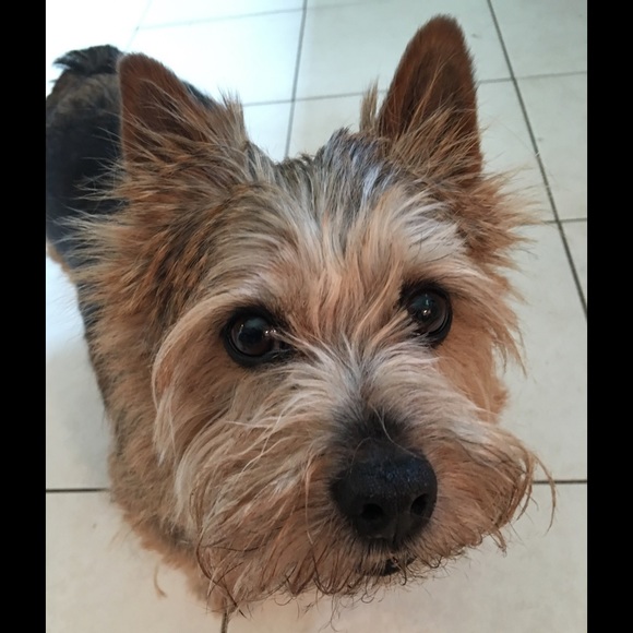 Meet your Posher, Donna - Picture 4 of 7